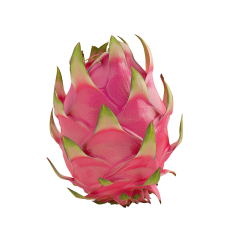 Dragon fruit